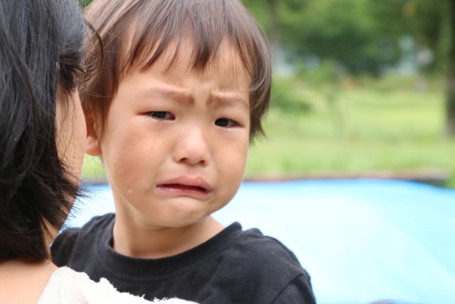 泣く子ども　子供　鼻ぶつけた　腫れ　何科