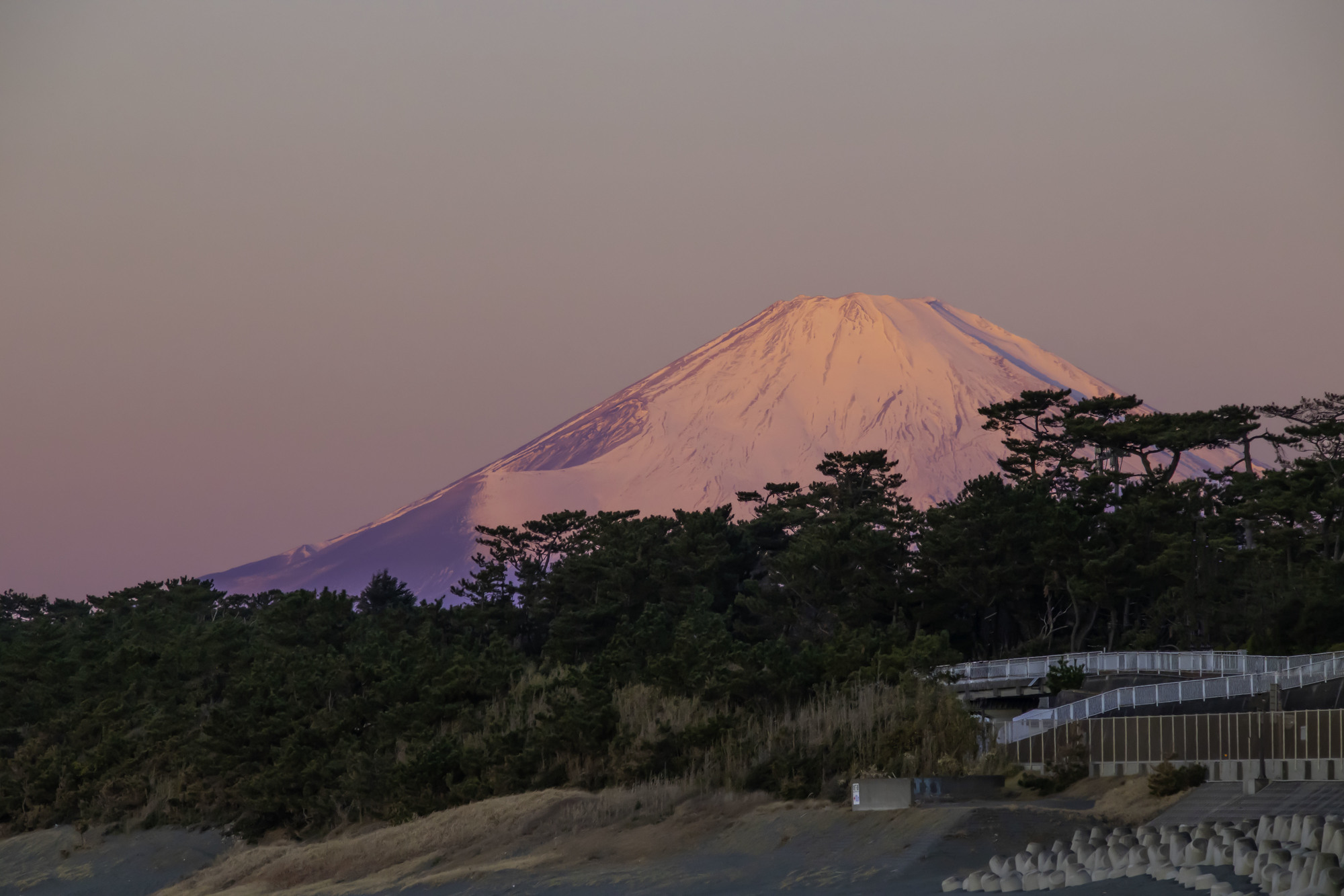 富士山