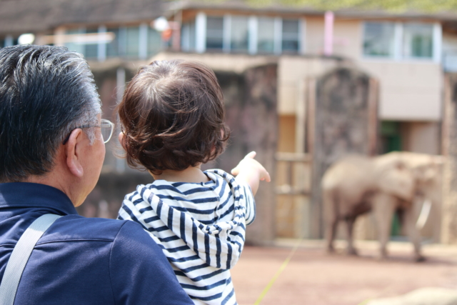 動物園