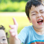 4歳差