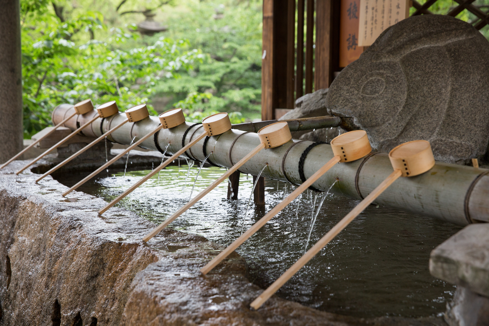 夏の神社