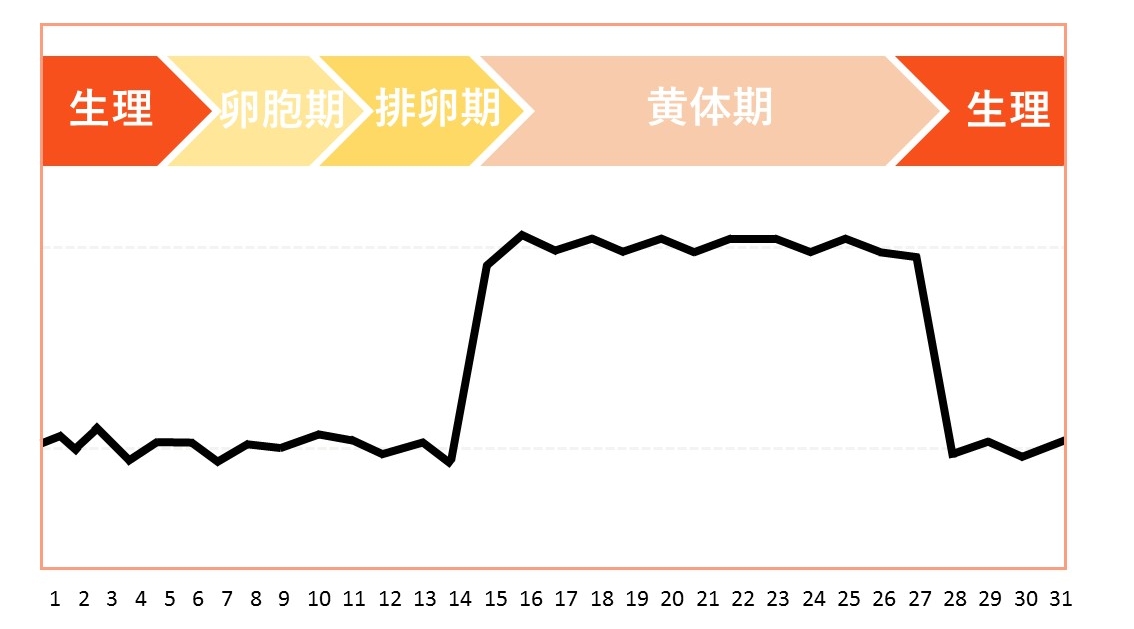 妊娠時　基礎体温例