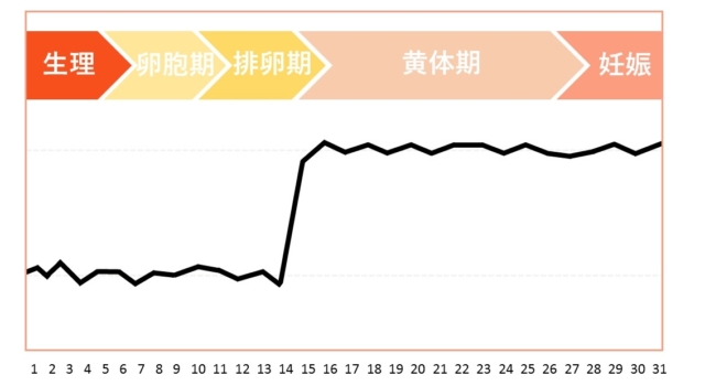 妊娠時　基礎体温例