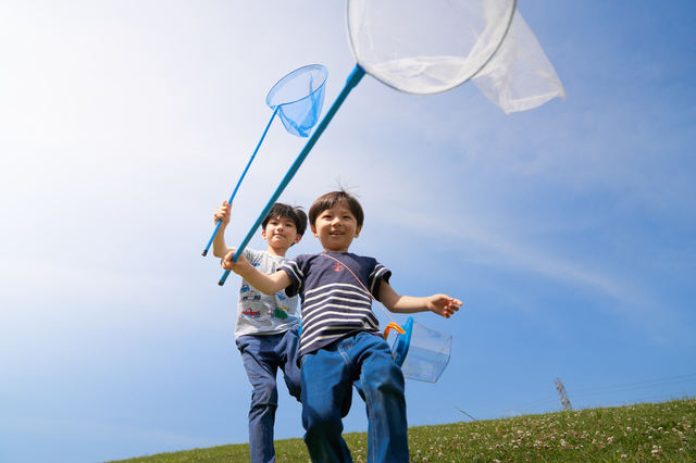 虫とり網を持って走る男の子