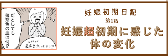 イルカさんの妊娠初期日記