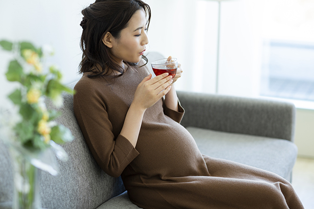 お茶を飲む妊婦