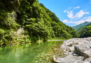 氷川キャンプ場