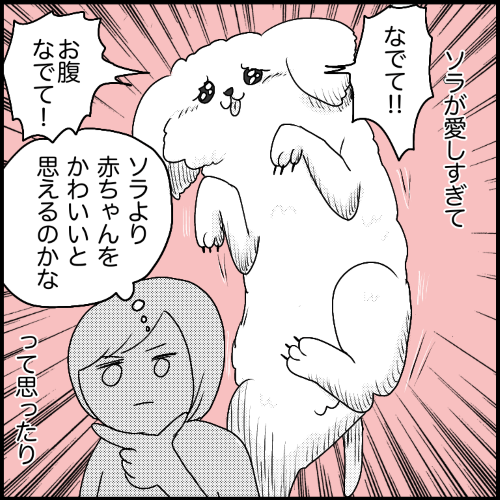 イルカの妊娠初期レポ04