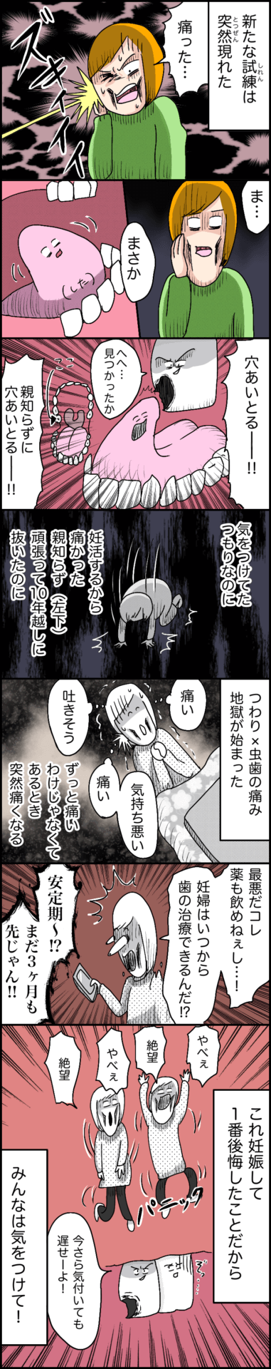 イルカ漫画 妊娠初期日記12