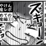 さやけん　初産日記