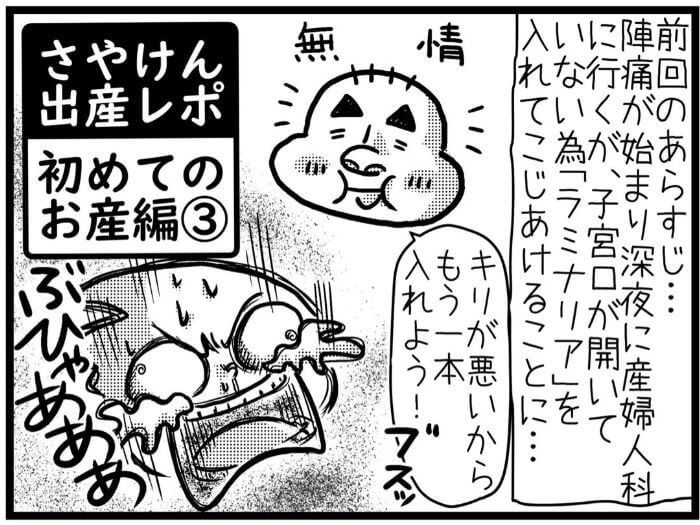 さやけん　初産日記