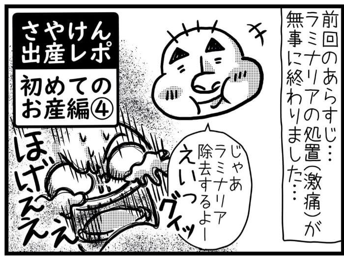 さやけん　初産日記