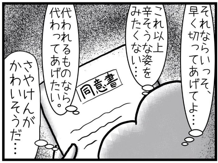 さやけん　初産日記