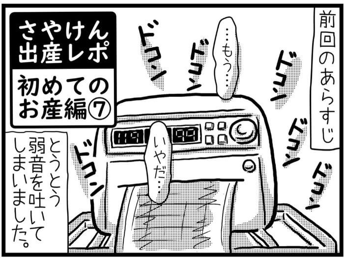 さやけん　初産日記