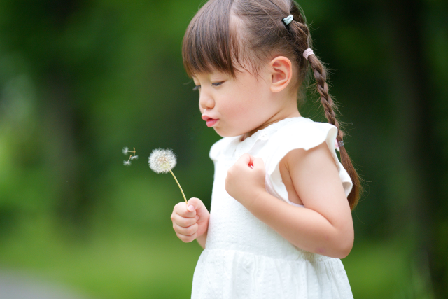 崩れない！子どもの三つ編みのやり方とコツ。簡単三つ編みヘアも